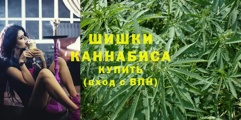 Канабис OG Kush  Власиха 